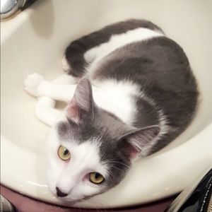 Meet your Posher, Stacia